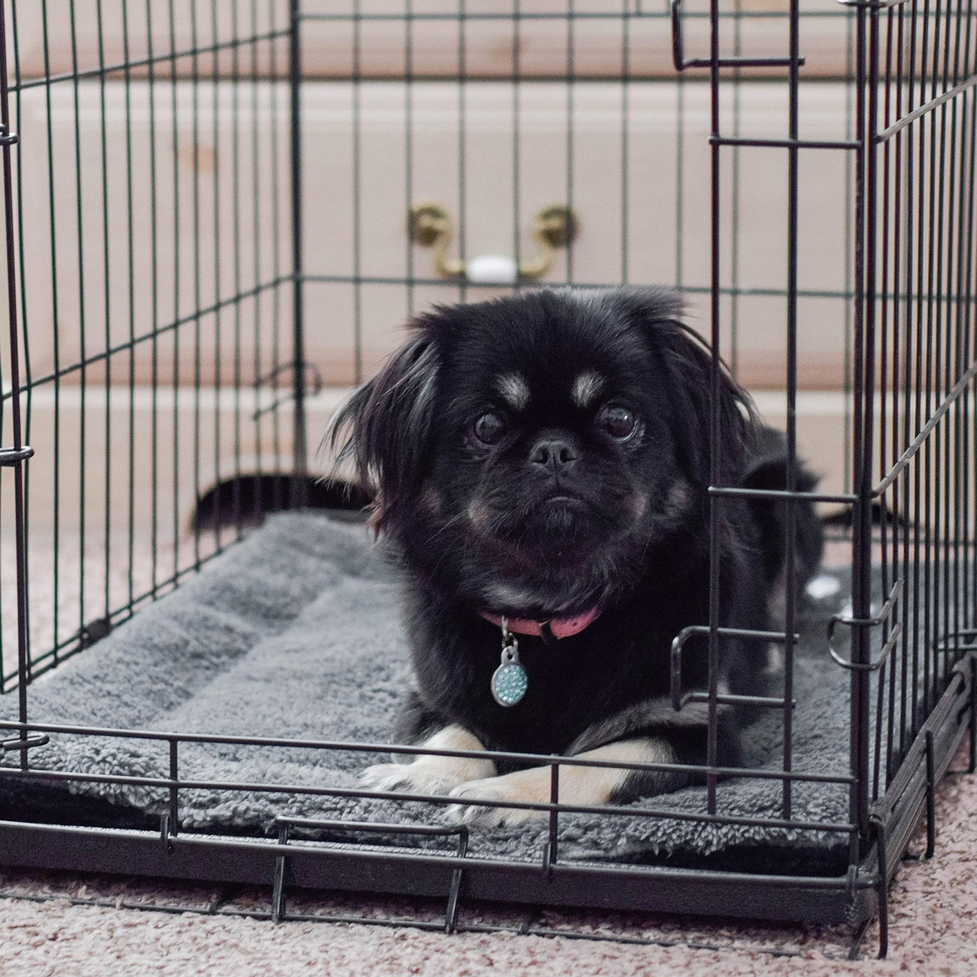 K&H Self. Chosen for real quality, fits naturally into modern pet homes.