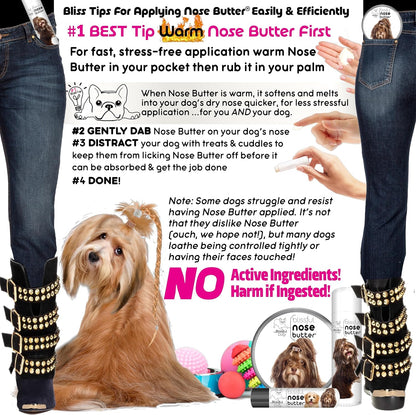 The Blissful Dog Havanese Nose Butter for Dry, Cracked Skin, Lick-Safe Dog Nose Balm with Moisturizing Shea Butter, Almond, Olive, and Essential Oils, Pet Supplies, Uncented, 0.50 oz.