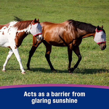 Farnam SuperMask II horse fly mask without ears, extended coverage, protects eyes from insects and debris, adjustable throat latch, Yearling size