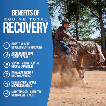 Pivotal Power+ Horse Supplement (174g/0.38lbs - 30 Servings) - 9 Equine Amino Acids Plus Probiotics for Horses - No Added Sugar, No Soy, No Fillers - Horse Joint Support Supplement, White