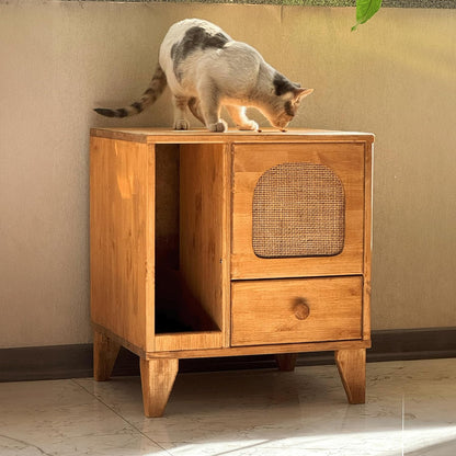 Cat Litter Box | Hidden Litter Box Furniture with Removable Divider | Wooden Cat Washroom Furniture | Indoor Cats House (Wood)