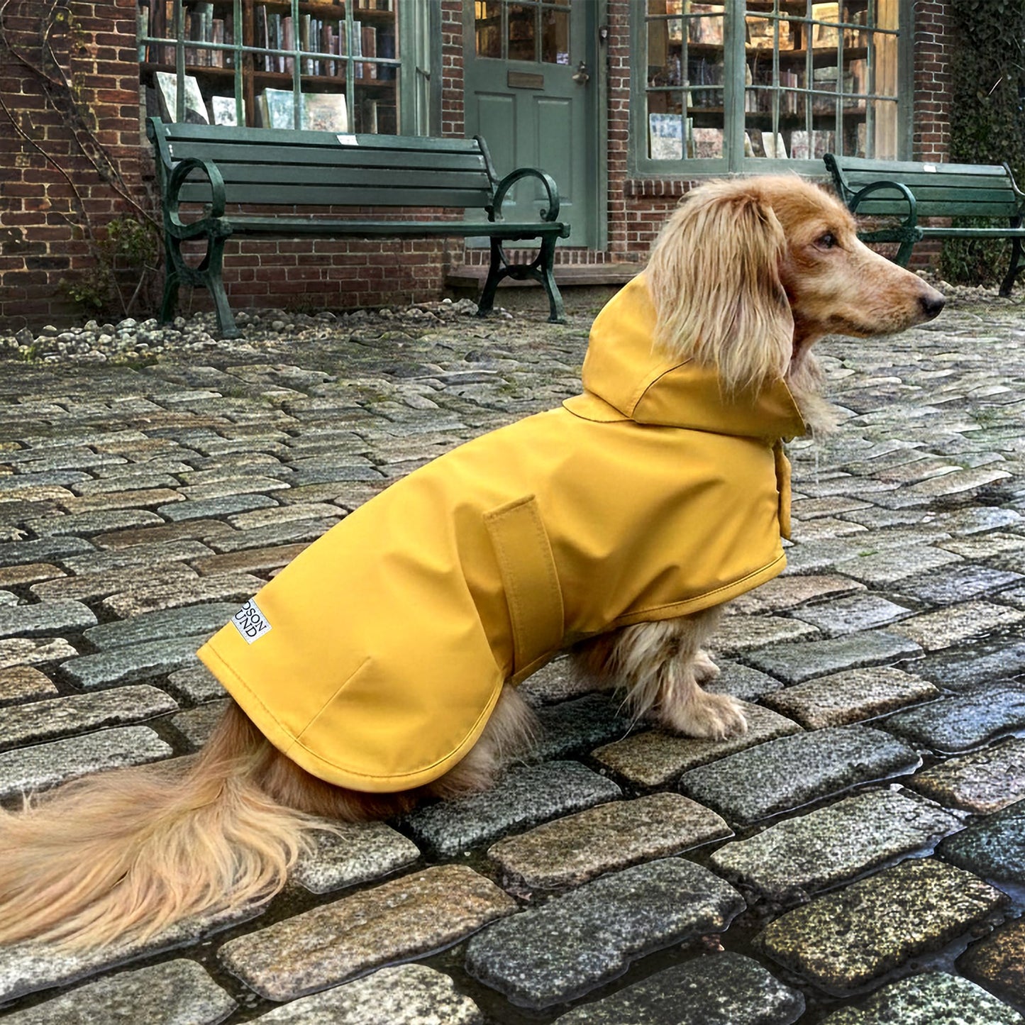 HUDSON HOUND Dachshund Raincoat. Chosen for real quality, fits naturally into modern pet homes.