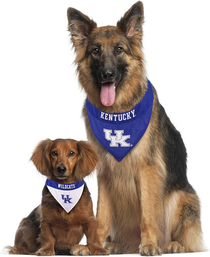 Pets First Collegiate Pet Accessories, Reversible Bandana, Kentucky Wildcats, Small/Medium