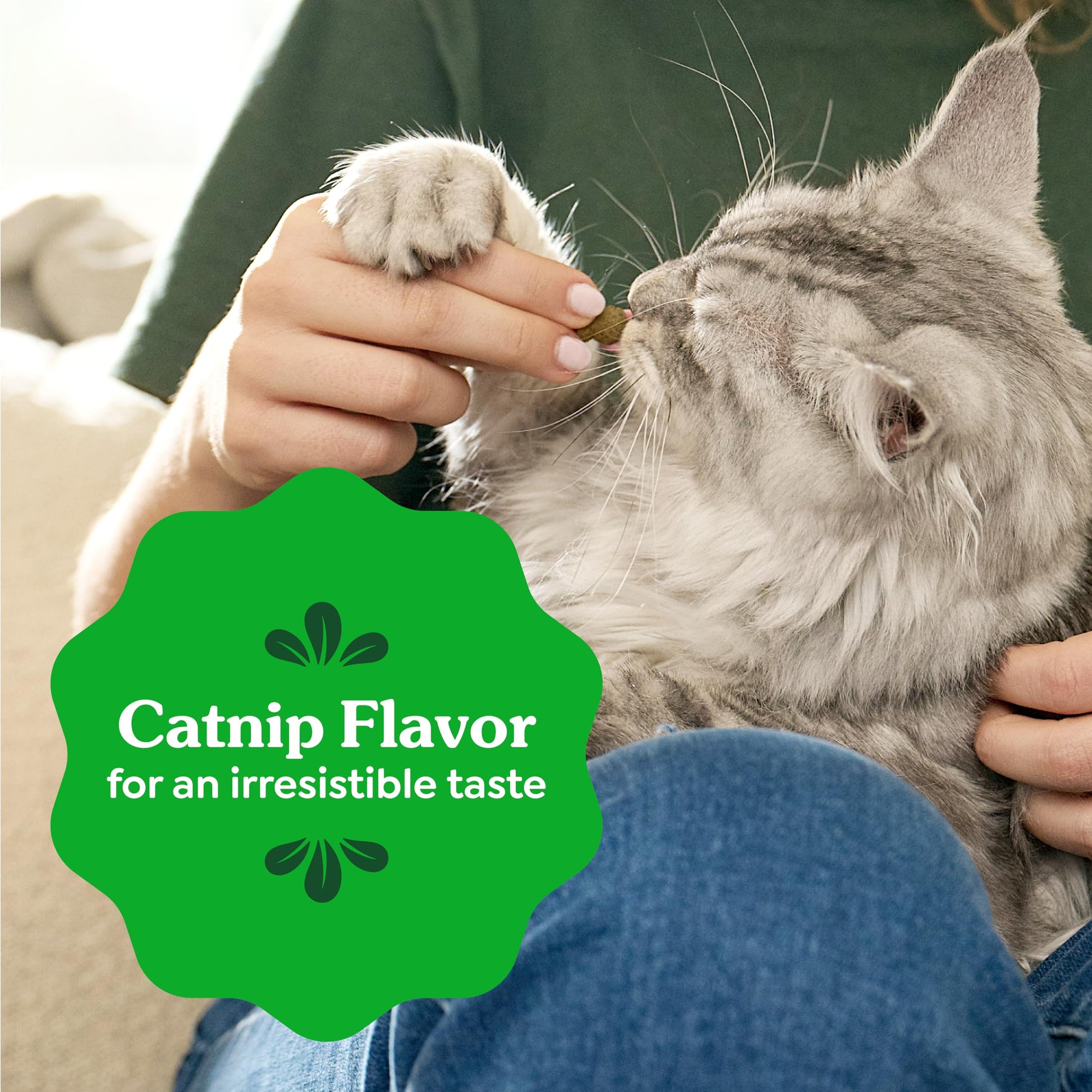 Greenies Feline Natural Dental Cat Treats. Chosen for real quality, fits naturally into modern pet