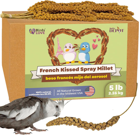 Birds LOVE French Kissed Spray Millet for Birds - Parakeets, Cockatiels, Lovebirds, Finches, Budgies, Canaries, Cockatoos - Natural & Healthy Bird Millet - Parakeet Food & Treats for All Parrots 5lbs
