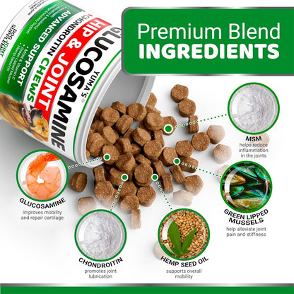YUMA'S Glucosamine for Dogs - Hip and Joint Supplement for Dogs - 170 Ct - Glucosamine Chondroitin Chews - Joint Pain Relief Supplement with MSM - Advanced Health - Mobility Support - Made in USA