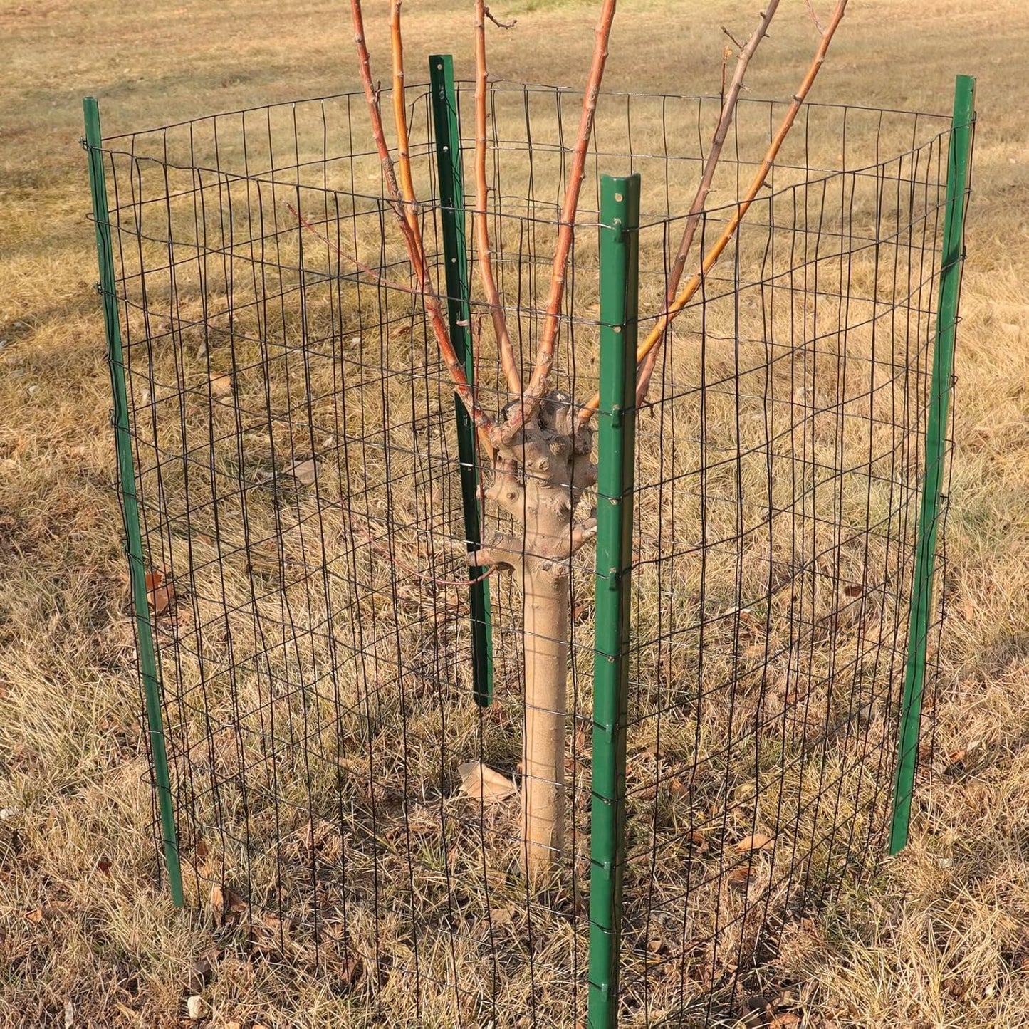 Black PVC Coated Welded Wire Fence 48 Inch x 50 Foot, 2 Inch x 3 Inch 16GA, Garden Border Fencing Roll Vinyl Coating Metal Wire Mesh for Yard Vegetable Plant Protection Poultry Netting