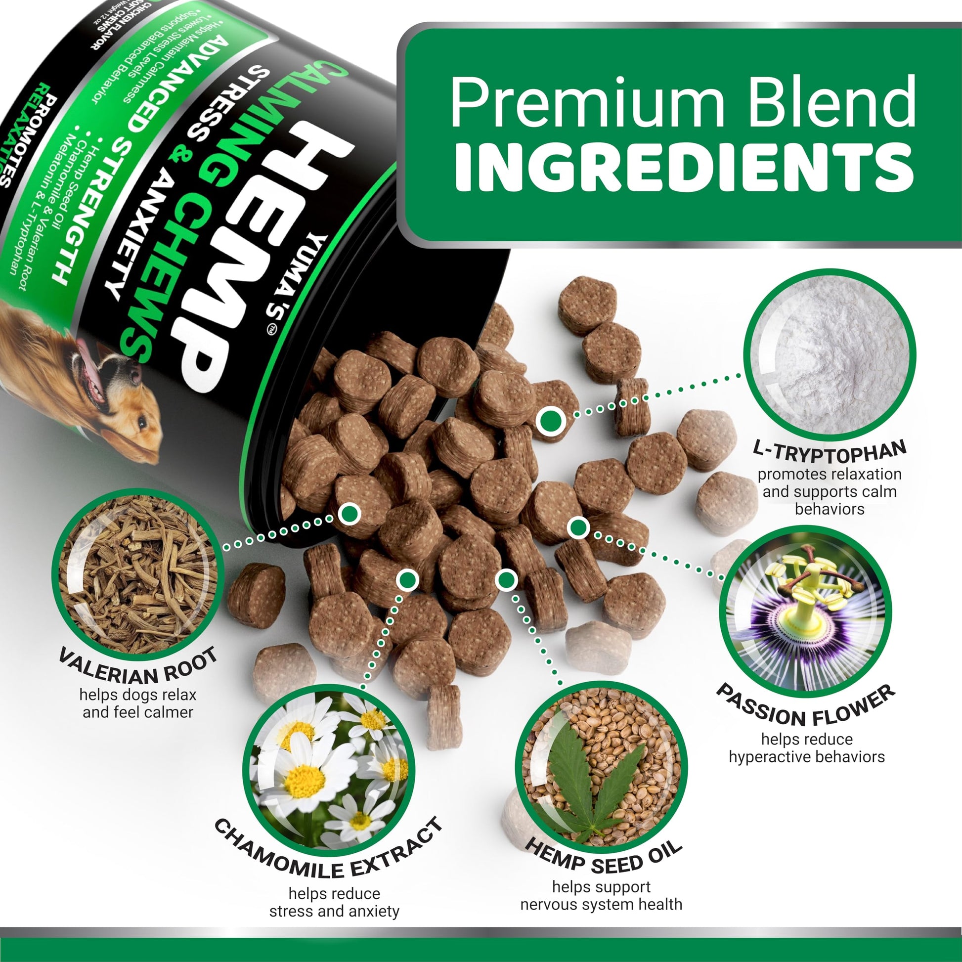 Hemp Calming Chews for Dogs. Chosen for real quality, fits naturally into modern pet homes.