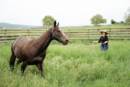 22' Long Line with SS O Ring and Carabiner (Neon Orange)