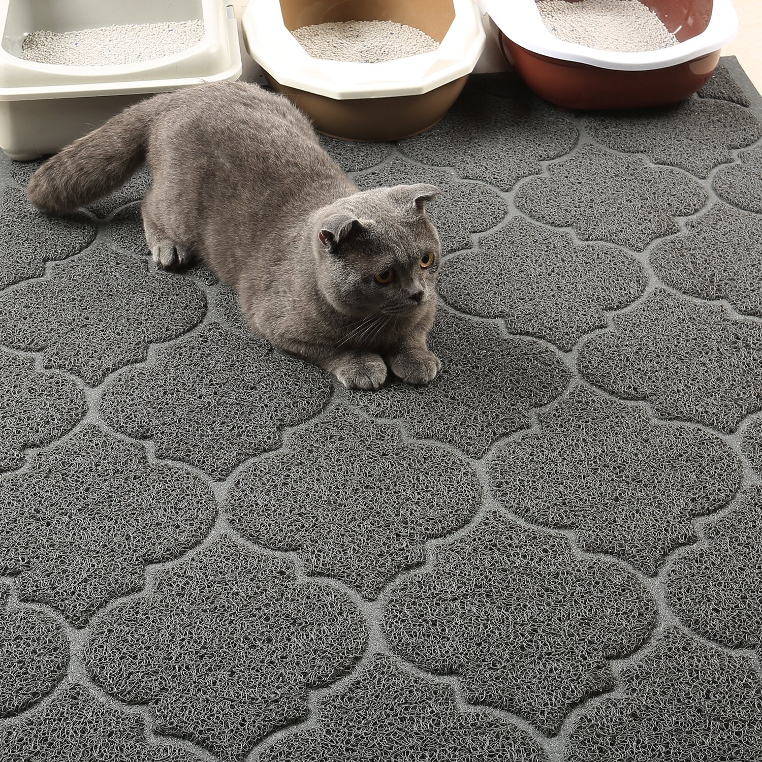 LittleTiger Cat Litter Mat. Chosen for real quality, fits naturally into modern pet homes.