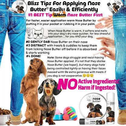 The Blissful Dog Daschund Nose Butter for Dry, Cracked Skin, Lick-Safe Dog Nose Balm with Moisturizing Shea Butter, Almond, Olive, and Essential Oils, Pet Supplies, Uncented, 2 oz.
