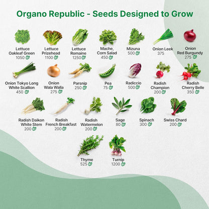 50 Winter Vegetable Garden Seeds Variety Pack - 43,450+ Non-GMO Heirloom Seeds for Outdoors & Indoor Home Gardening, Including Kohlrabi, Lettuce, Radish, Onion, Choy, Spinach, Cauliflower, Collards