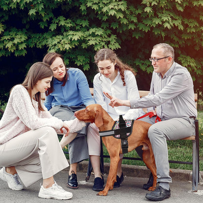 Dogline Dog Harness, Reflective No-Pull Adjustable Vest with Handle for Walking, Training, Breathable, No - Choke Harness for Small, Medium or Large Dogs Room for Patches Leopard Rainbow XL 33"-46"