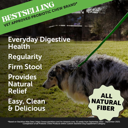 Pumpkin Fiber Powder Supplement for Dogs - All Natural Dog Probiotic with Psyllium Husk, Pumpkin Seeds and Apple Pectin for Healthy Digestion (90 Scoops)