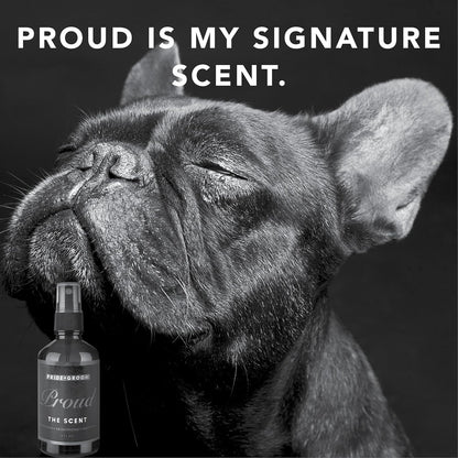 Pride and Groom Proud – Long Lasting Luxurious Dog Grooming Spray & Pet Deodorizer with Uniquely Uplifting, Fresh and Clean Signature Scent, Safe for Sensitive Skin & Noses – 4 fl oz