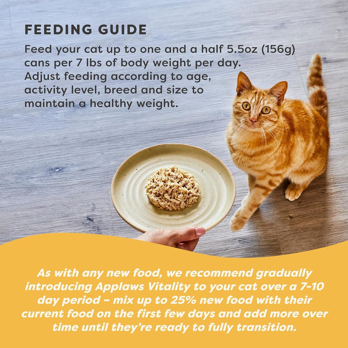 Applaws Vitality Wet Cat Food in Broth, Natural Canned Cat Food, Wet Food for Cats with Added Vitamins and Minerals, Grain and Carrageenan Free, Tuna Fillet & Salmon in Broth (24 Count, 5.5oz Cans)