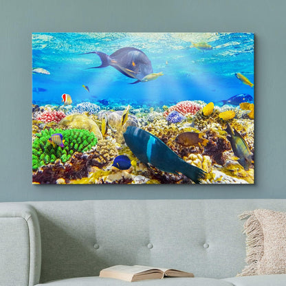 wall26 Canvas Print Wall Art Sunlight Ocean Sea Coral Reef Anemone Fish Nature Animals Photography Realism Rustic Scenic Landscape Wilderness Earth for Living Room, Bedroom, Office - 32"x48"