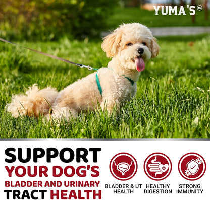 Dog UTI Treatment - 170 Treats - Cranberry Supplement for Dogs - Bladder Control - Urinary Tract Infection Treatment - UTI Medicine Multivitamin - Vitamins and Supplements - Made in USA