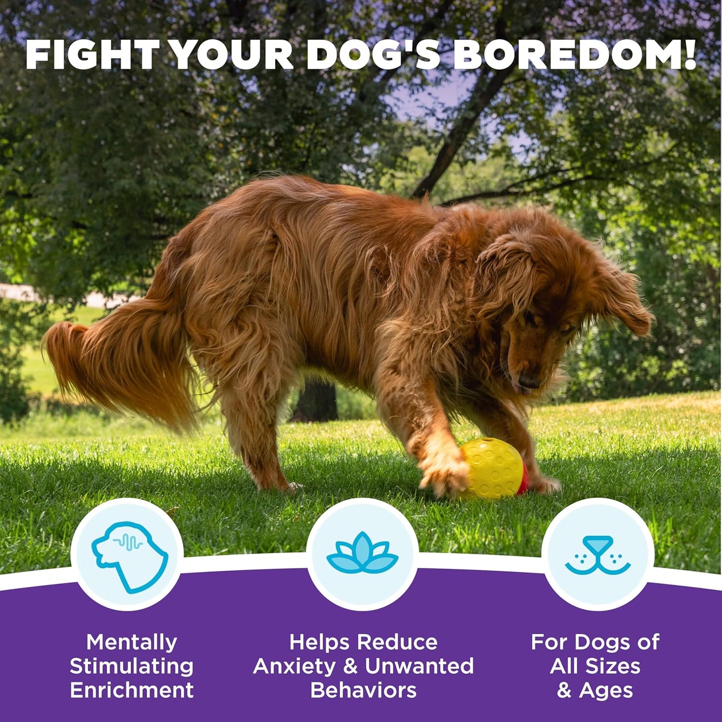 Outward Hound by Nina Ottosson Treat Tumble Interactive Puzzle Ball Dog Toy, Level 1 Beginner, Pink, Large (5.75" Diameter)