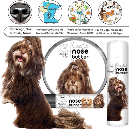 The Blissful Dog Havanese Unscented Nose Butter - Dog Nose Butter, 16 Ounce