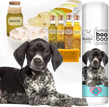 The Blissful Dog .50 oz Tube German Shorthaired Pointer Booboo Butter