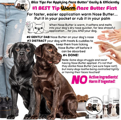 The Blissful Dog Labrador Retriever Nose Butter, Versatile Dog Nose Balm for Dry Nose, Handcrafted Nose Moisturizer, Easy-to-Apply Dog Essentials, Unscented, 2 oz.