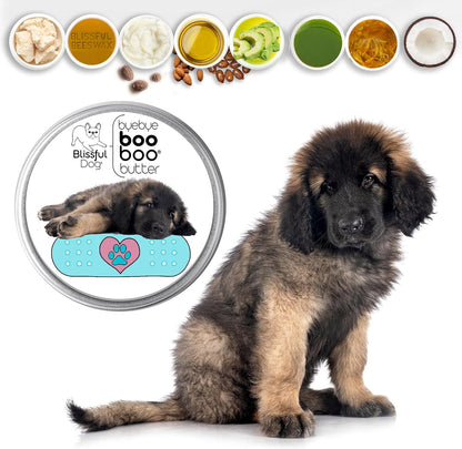 The Blissful Dog Leonberger Boo Boo Butter, 16 oz.