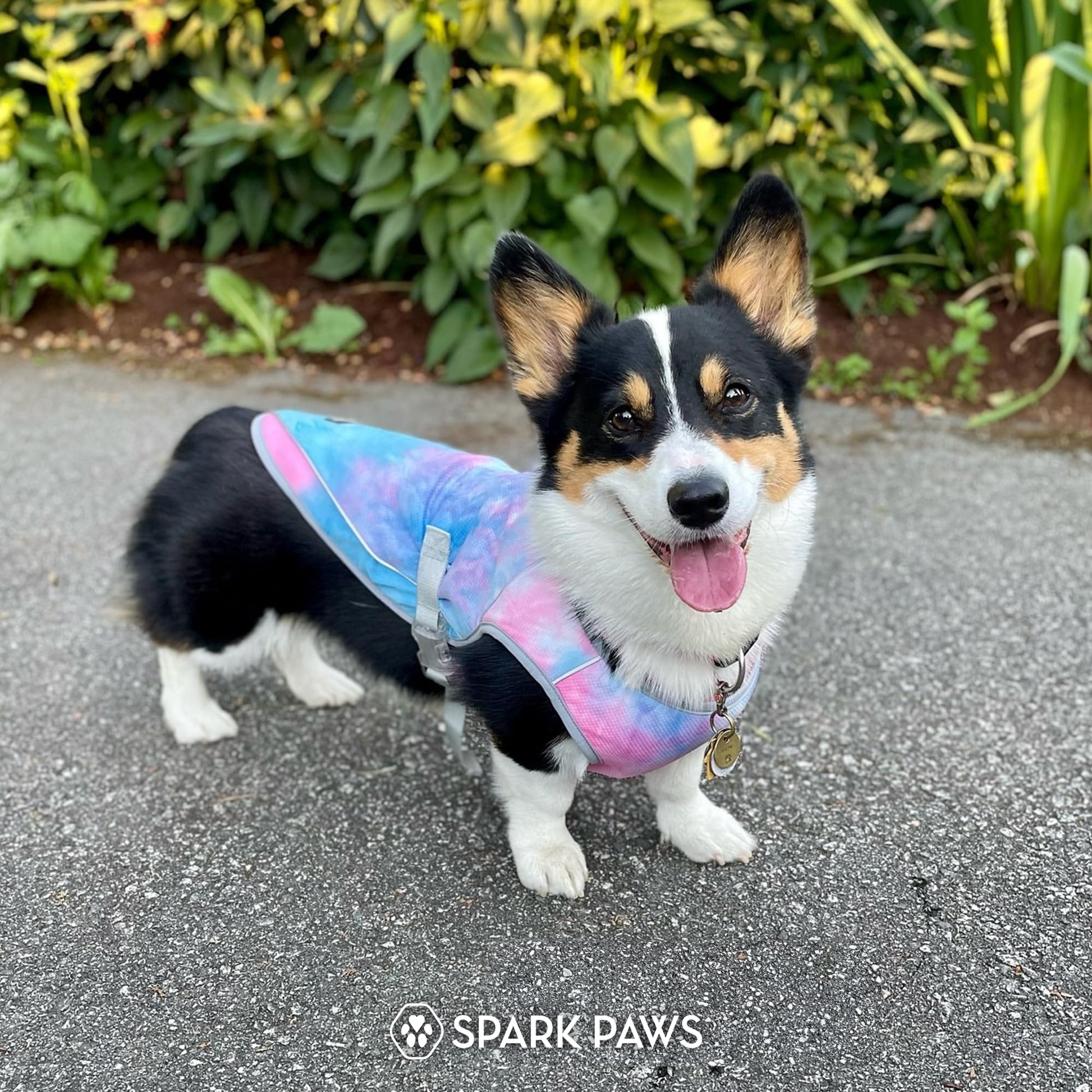 Spark Paws Dog Cooling Vest. Chosen for real quality, fits naturally into modern pet homes.