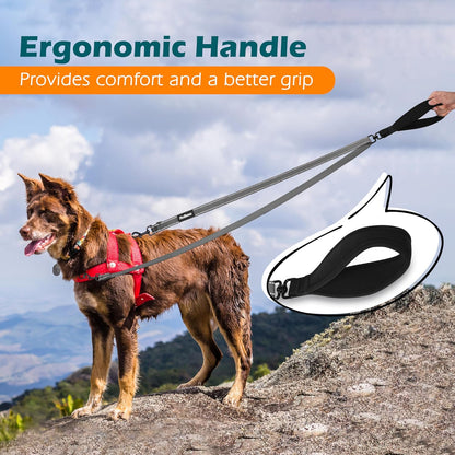PetBonus Two Point Control Dog Leash, Works with No Pull Harnesses, No Tangle Dog Training Leashes, No Pull Padded and Reflective Walking Lead, Converts to Single Leash for Medium Large Dogs (Grey)