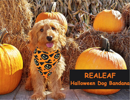 Realeaf Halloween Dog Bandanas 2 Pack, Pumpkin and Spider Web Bibs, Triangle Reversible Fall Pet Scarf, Premium Durable Fabric, Adjustable Fit (Small)