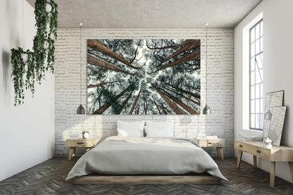 Nature Wall Art Prints - Ocean Forest Mountain Lake Canvas Landscapes - Small to Extra Large Living Room Bedroom Kitchen Bathroom Décor (Trees and Sky, 35L" x 53W")