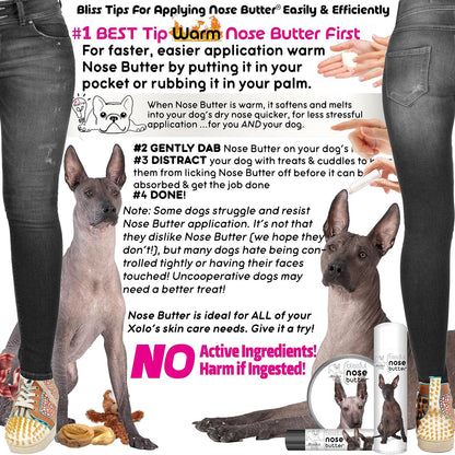 The Blissful Dog Xoloitzcuintli Nose Butter for Dry, Cracked Skin, Lick-Safe Dog Nose Balm with Moisturizing Shea Butter, Almond, Olive, and Essential Oils, Pet Supplies, Uncented, 4 oz.