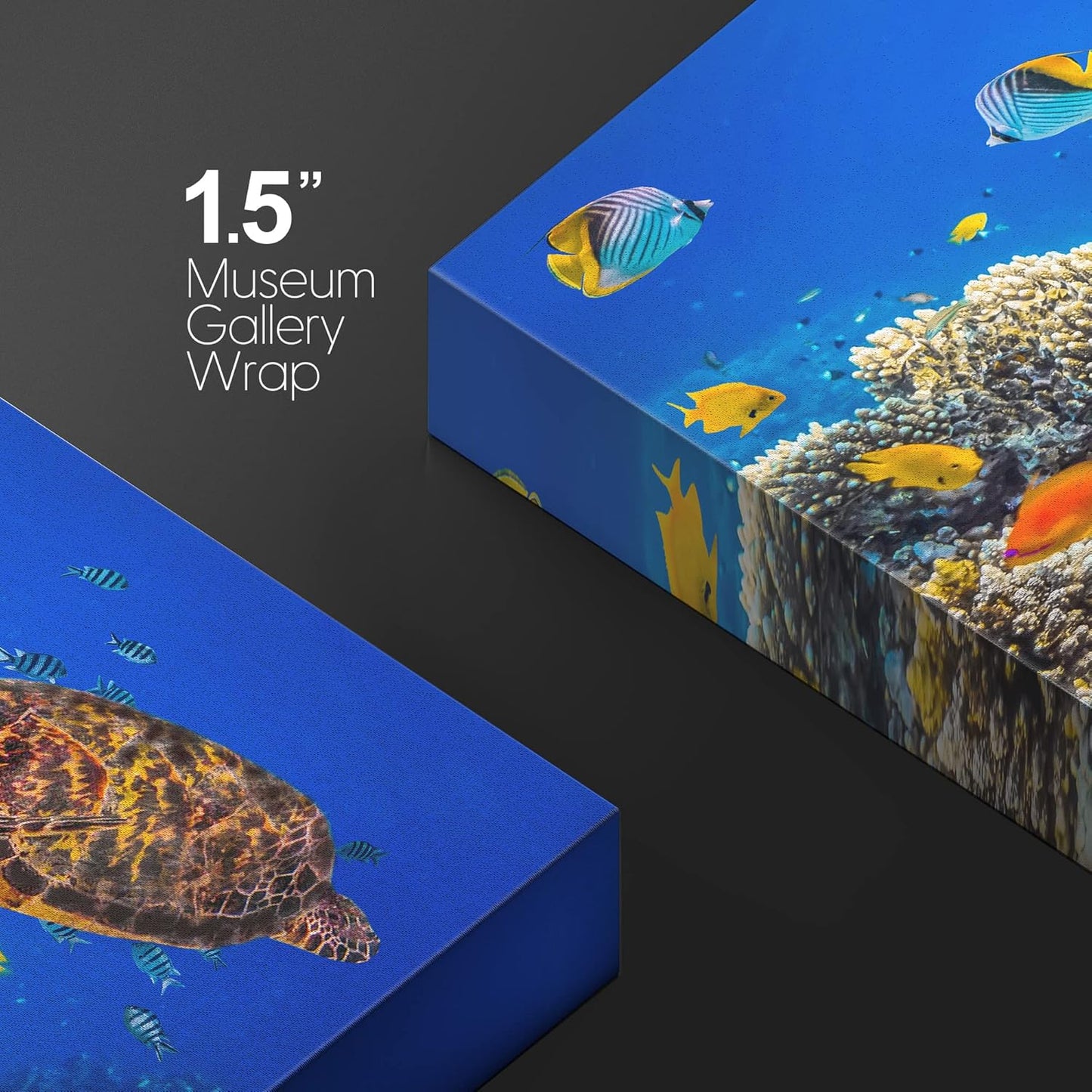 wall26 Canvas Print Wall Art Neon Coral Reef Blue Hippo Tang Fish Turtle Nature Animals Photography Realism Rustic Scenic Landscape Wilderness Colorful for Living Room, Bedroom, Office - 24"x36"