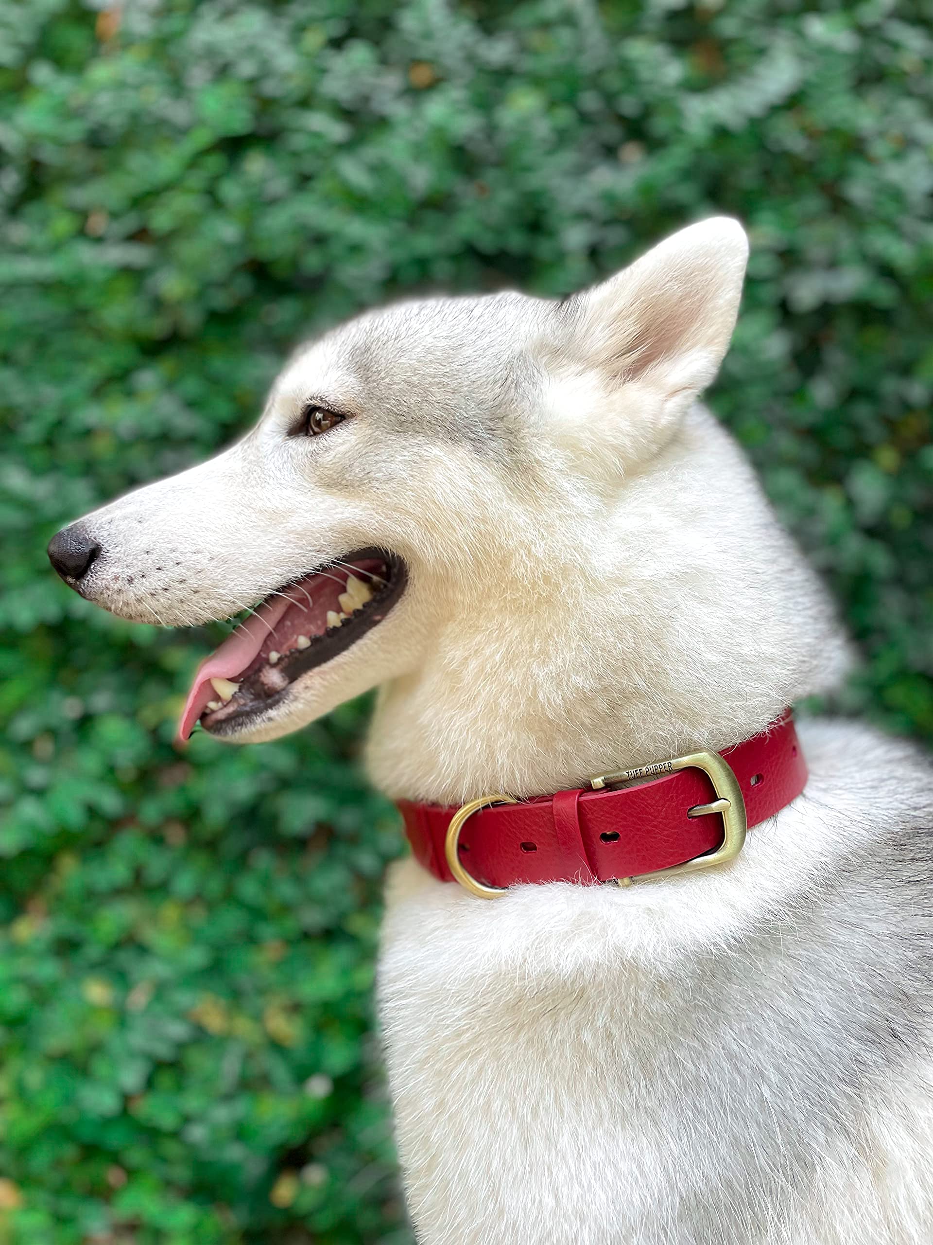 Tuff Pupper Heavy Duty Waterproof Dog Collar for Small. Chosen for real quality, fits naturally