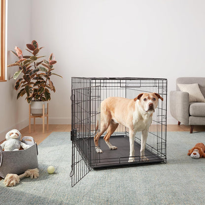 Amazon Basics Durable, Foldable Metal Wire Dog Crate with Tray, Single Door, 48 x 30 x 32.5 in, Black