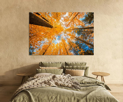 Nature Wall Art Prints - Ocean Forest Mountain Lake Canvas Landscapes - Small to Extra Large Living Room Bedroom Kitchen Bathroom Décor (Blue Sky Through Yellow Autumn Trees, 24L" x 36W")