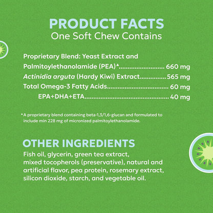 Nutramax Dermaquin Skin Support Supplement for Large Dogs, Supports Healthy Response to Allergens, with Hardy Kiwi, Omega-3s, and More, Tasty Soft Chews, 60 Count