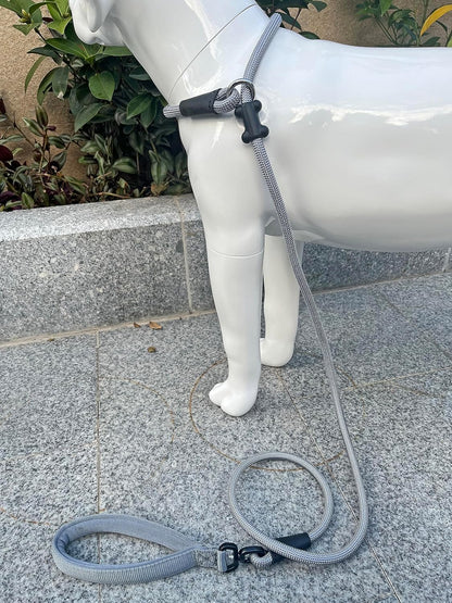 Slip Lead Dog Leash，Strong Nylon Rope Leash and Padded Handle,No Pull Outdoor Walking Training Lead for Small Medium Large Dogs(Grey, 1/2"×6ft)